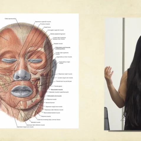 Facial Neuromodulator Injections Course