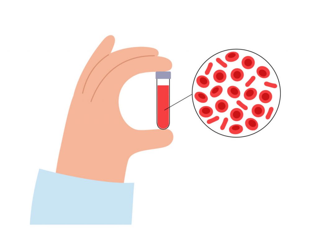 Human blood structure and sample collection in laboratory