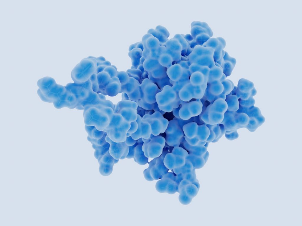 The fibroblast growth factor